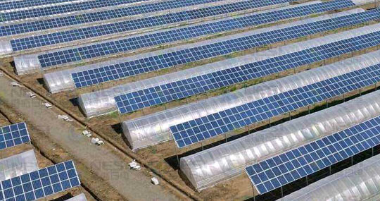 農(nóng)業(yè)光伏大棚